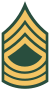 50px-us-army-e-8-msg-svg-1.png